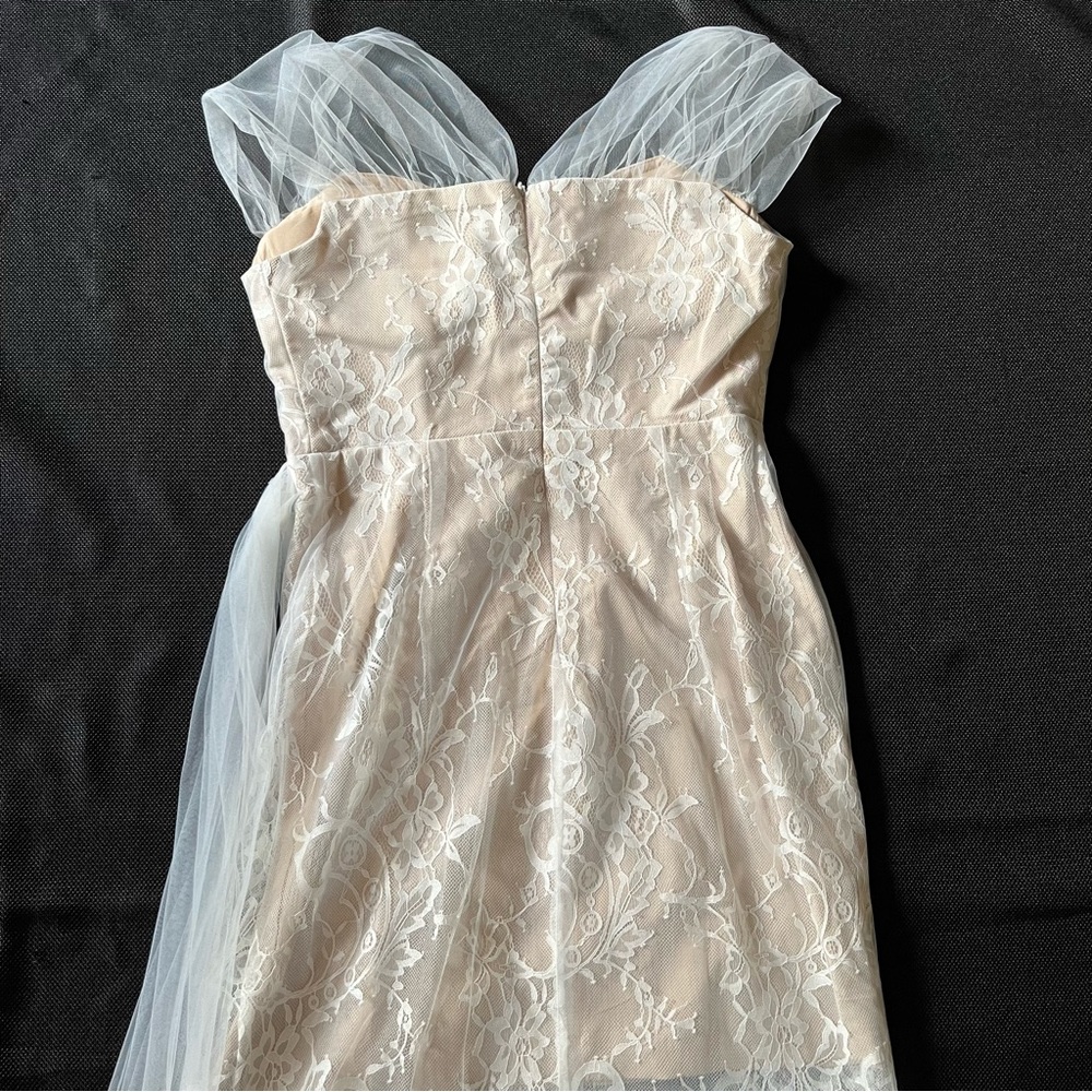 Tule and lace dress 👗 - Picture 6 of 9